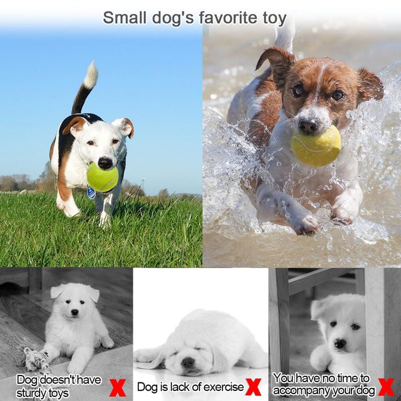 Swity Home Tennis Balls  12 Pack Tennis Training Balls for Adults Kids Lessons  Practice or Playing with Pet (Regular Color) - Image 4